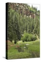 Creek in a Canyon High in the Jemez Mountains, New Mexico-null-Stretched Canvas