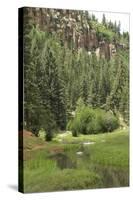 Creek in a Canyon High in the Jemez Mountains, New Mexico-null-Stretched Canvas