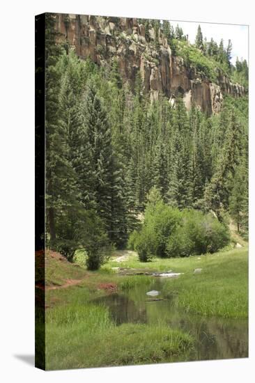 Creek in a Canyon High in the Jemez Mountains, New Mexico-null-Stretched Canvas