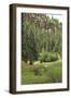 Creek in a Canyon High in the Jemez Mountains, New Mexico-null-Framed Photographic Print