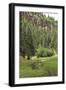 Creek in a Canyon High in the Jemez Mountains, New Mexico-null-Framed Photographic Print