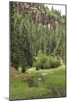 Creek in a Canyon High in the Jemez Mountains, New Mexico-null-Mounted Photographic Print