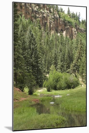 Creek in a Canyon High in the Jemez Mountains, New Mexico-null-Mounted Photographic Print