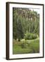 Creek in a Canyon High in the Jemez Mountains, New Mexico-null-Framed Photographic Print