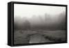 Creek in Fog I - BW-Tammy Putman-Framed Stretched Canvas