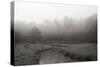 Creek in Fog I - BW-Tammy Putman-Stretched Canvas