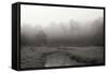 Creek in Fog I - BW-Tammy Putman-Framed Stretched Canvas