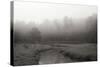 Creek in Fog I - BW-Tammy Putman-Stretched Canvas