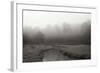 Creek in Fog I - BW-Tammy Putman-Framed Photographic Print