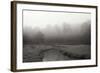 Creek in Fog I - BW-Tammy Putman-Framed Photographic Print