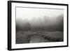 Creek in Fog I - BW-Tammy Putman-Framed Photographic Print