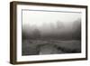 Creek in Fog I - BW-Tammy Putman-Framed Photographic Print