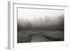 Creek in Fog I - BW-Tammy Putman-Framed Photographic Print