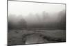 Creek in Fog I - BW-Tammy Putman-Mounted Photographic Print