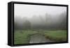 Creek in Fog I-Tammy Putman-Framed Stretched Canvas