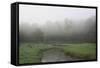 Creek in Fog I-Tammy Putman-Framed Stretched Canvas