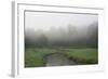 Creek in Fog I-Tammy Putman-Framed Photographic Print