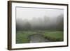 Creek in Fog I-Tammy Putman-Framed Photographic Print