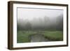 Creek in Fog I-Tammy Putman-Framed Photographic Print