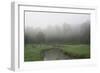 Creek in Fog I-Tammy Putman-Framed Photographic Print