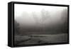 Creek in Fog II - BW-Tammy Putman-Framed Stretched Canvas