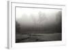 Creek in Fog II - BW-Tammy Putman-Framed Photographic Print