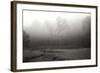 Creek in Fog II - BW-Tammy Putman-Framed Photographic Print