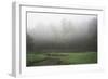 Creek in Fog II-Tammy Putman-Framed Photographic Print