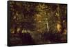 Creek In Forest-Constant Troyon-Framed Stretched Canvas