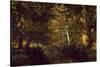 Creek In Forest-Constant Troyon-Stretched Canvas