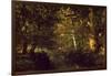 Creek In Forest-Constant Troyon-Framed Giclee Print