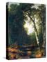 Creek In The Woods-Asher Brown Durand-Stretched Canvas
