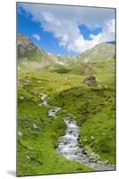 Creek, Mont Fallere, Aosta Valley, Italian Alps, Italy, Europe-Nico Tondini-Mounted Photographic Print