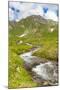 Creek, Mont Fallere, Aosta Valley, Italian Alps, Italy-Nico Tondini-Mounted Photographic Print