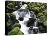 Creek Near Sol Duc Falls, Olympic National Park, Washington State, USA-Stuart Westmorland-Stretched Canvas