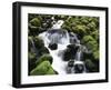 Creek Near Sol Duc Falls, Olympic National Park, Washington State, USA-Stuart Westmorland-Framed Premium Photographic Print