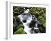 Creek Near Sol Duc Falls, Olympic National Park, Washington State, USA-Stuart Westmorland-Framed Photographic Print