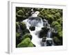 Creek Near Sol Duc Falls, Olympic National Park, Washington State, USA-Stuart Westmorland-Framed Photographic Print