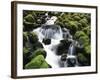 Creek Near Sol Duc Falls, Olympic National Park, Washington State, USA-Stuart Westmorland-Framed Photographic Print