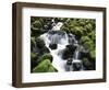 Creek Near Sol Duc Falls, Olympic National Park, Washington State, USA-Stuart Westmorland-Framed Photographic Print