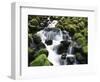 Creek Near Sol Duc Falls, Olympic National Park, Washington State, USA-Stuart Westmorland-Framed Photographic Print