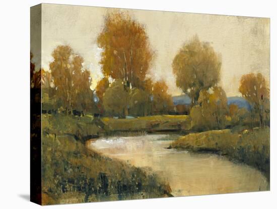 Creek Side I-Tim O'toole-Stretched Canvas