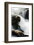 Creek Watcher-Ursula Abresch-Framed Photographic Print