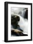 Creek Watcher-Ursula Abresch-Framed Photographic Print