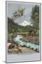 Creek with Mt. Hood in Background, Oregon-null-Mounted Art Print