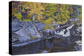 Creek-Rusty Frentner-Stretched Canvas