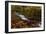 Creekside Colors-Darren White Photography-Framed Photographic Print