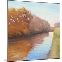 Creekside Stroll-David Skinner-Mounted Giclee Print