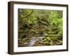 Creekton Rivulet, Southern Forests, Tasmania, Australia, Pacific-Jochen Schlenker-Framed Photographic Print