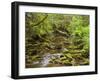 Creekton Rivulet, Southern Forests, Tasmania, Australia, Pacific-Jochen Schlenker-Framed Photographic Print